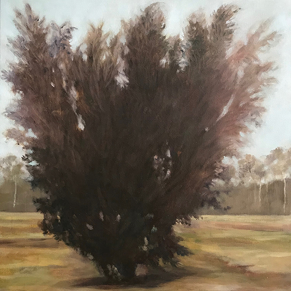 Scribbling on the Sky by Lindy  Sale | Lethbridge Gallery